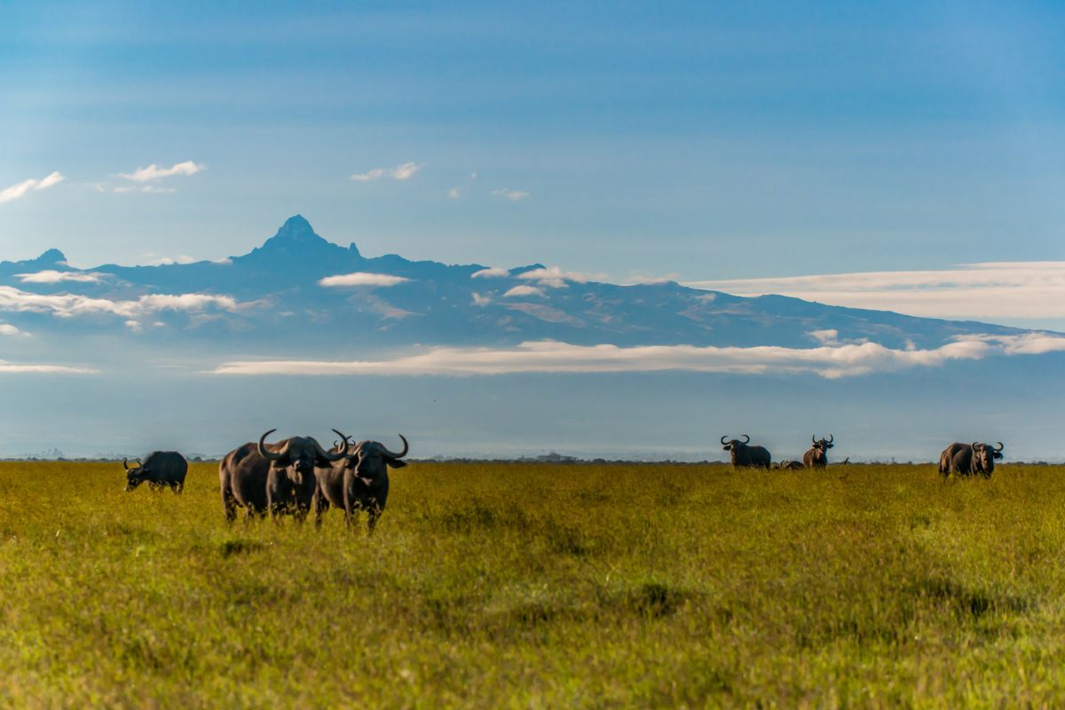 6 Days Mount Kenya Trek – Naro Moru to Chogoria via Shipton’s Camp - Go Mount Kenya Expedition