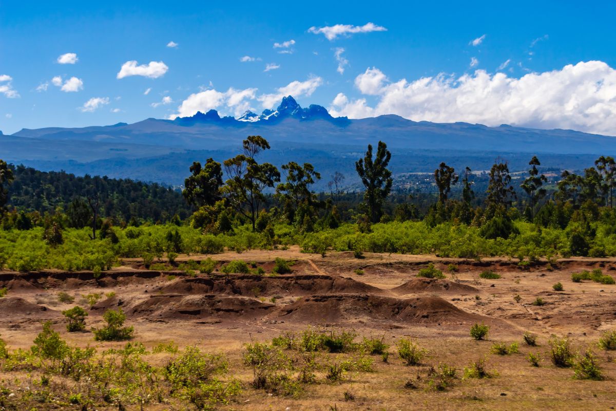 7 Days Mount Kenya Batian Technical Climb – North Face Standard Route - Go Mount Kenya Expedition